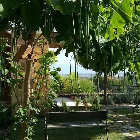 Maison d'hôtes Daidalos